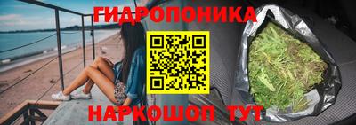 Альфа ПВП Пушкино