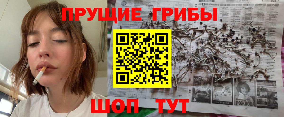 Сегежа  хочу наркоту  Вход с VPN  Галлюциногенные грибы Psilocybine cubensis 