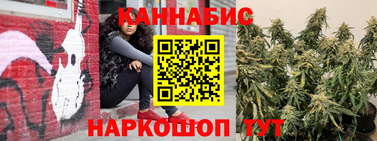 Бошки марихуана Bruce Banner Сегежа